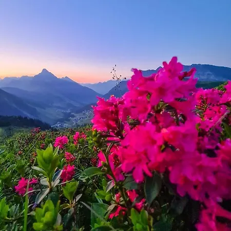 Lejlighed Haus Kappeller