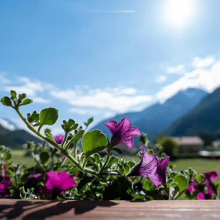 Daire Haus Kappeller *