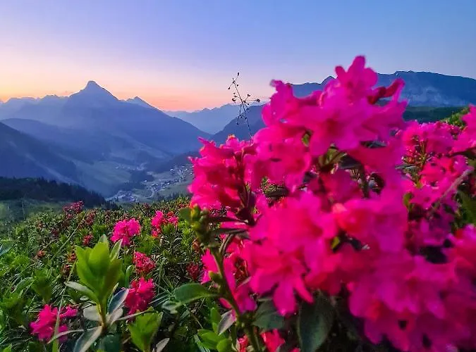 Apartament Haus Kappeller